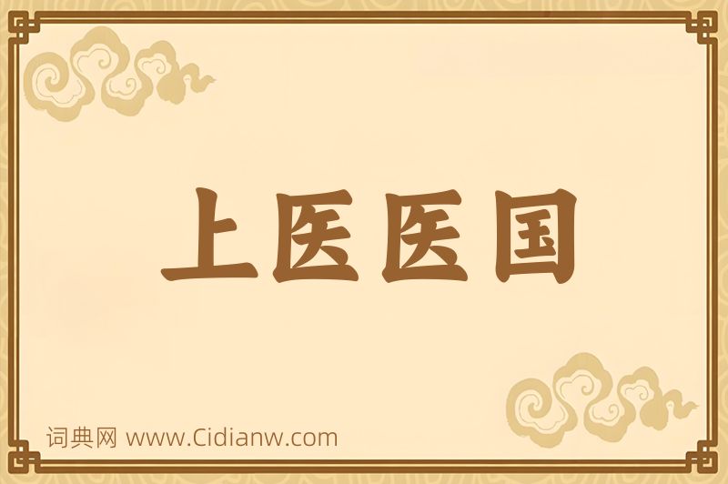 成语上医医国图片