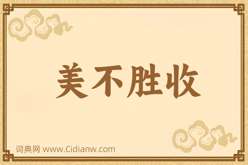 成语美不胜收图片