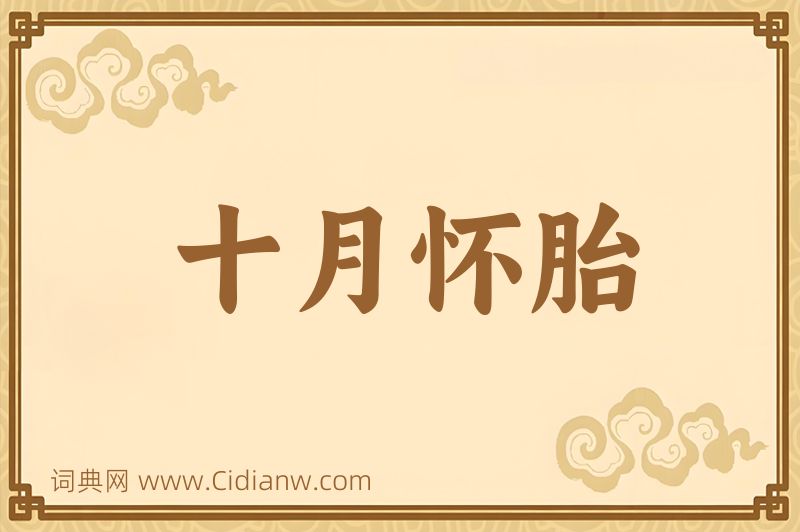 成语十月怀胎图片