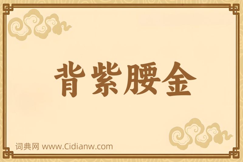 成语背紫腰金图片