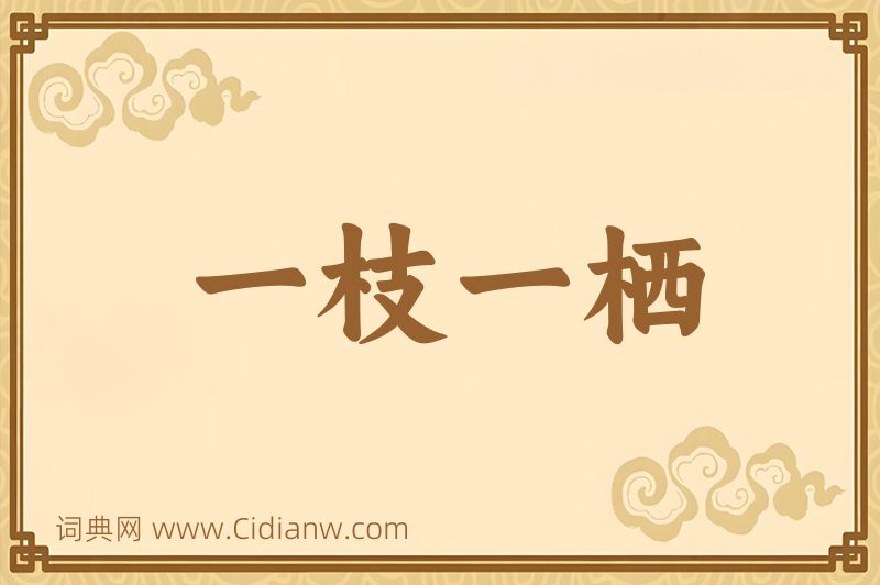 成语一枝一栖图片