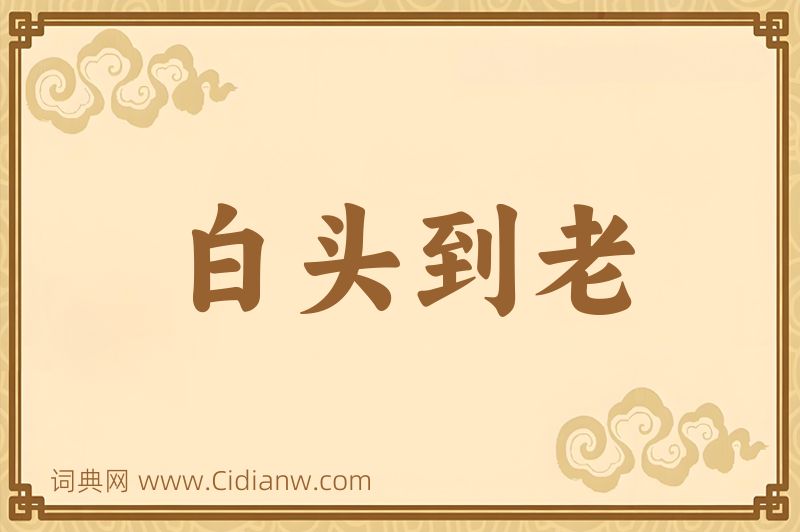 成语白头到老图片