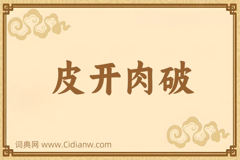 成语皮开肉破图片