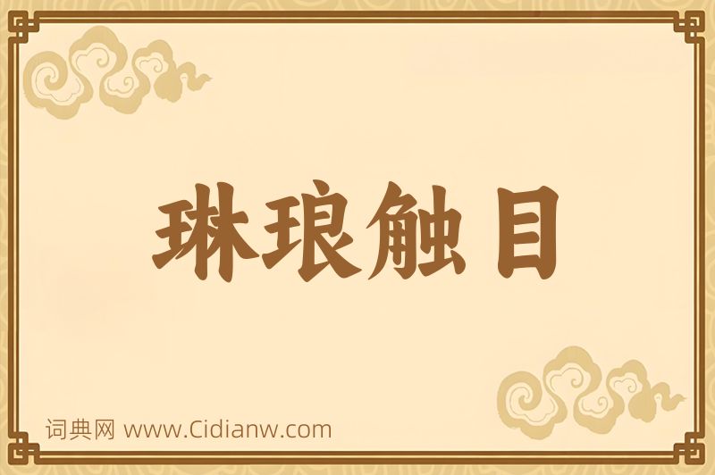 成语琳琅触目图片