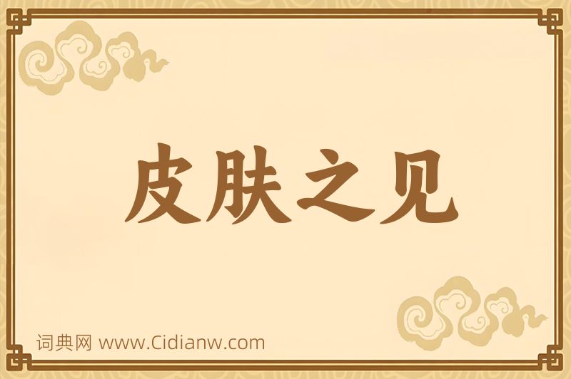 成语皮肤之见图片