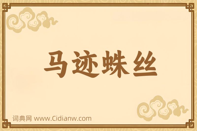 成语马迹蛛丝图片