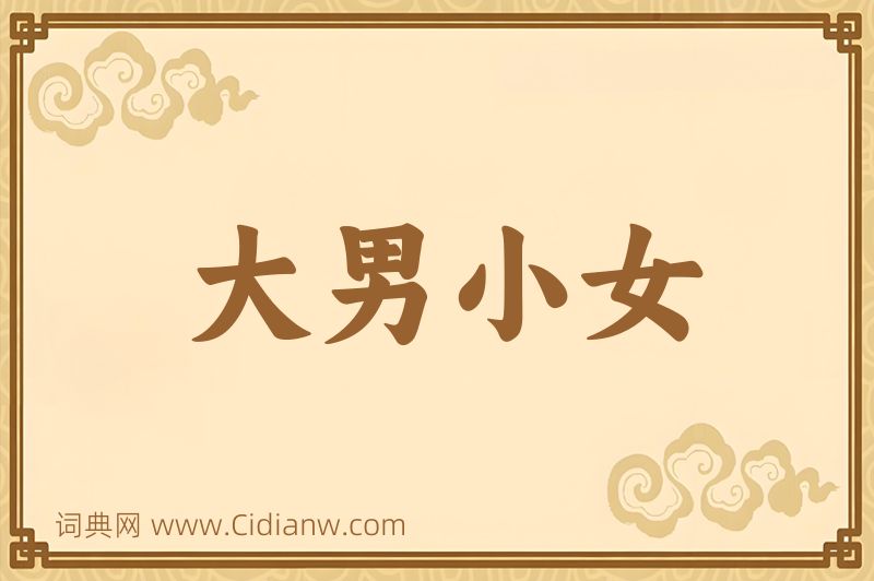 成语大男小女图片