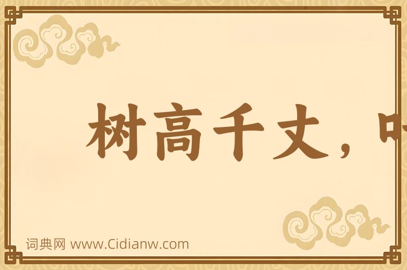 成语树高千丈，叶落归根图片