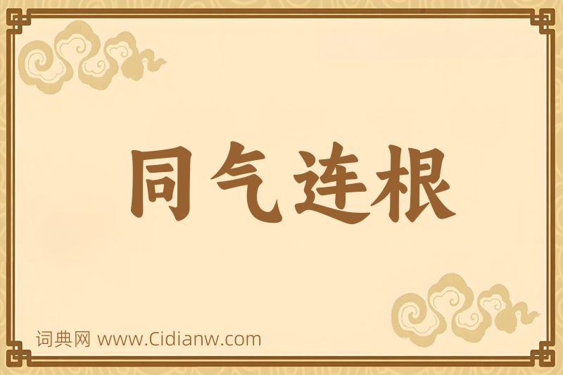 成语同气连根图片