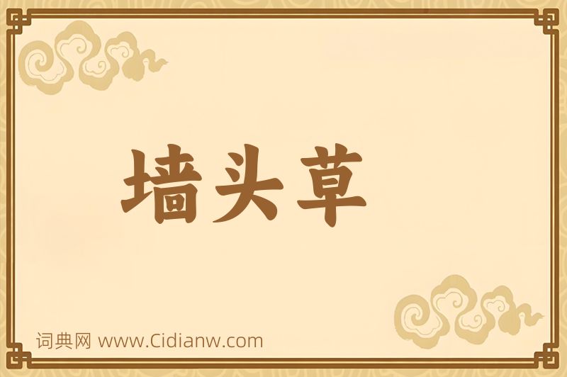 成语墙头草图片