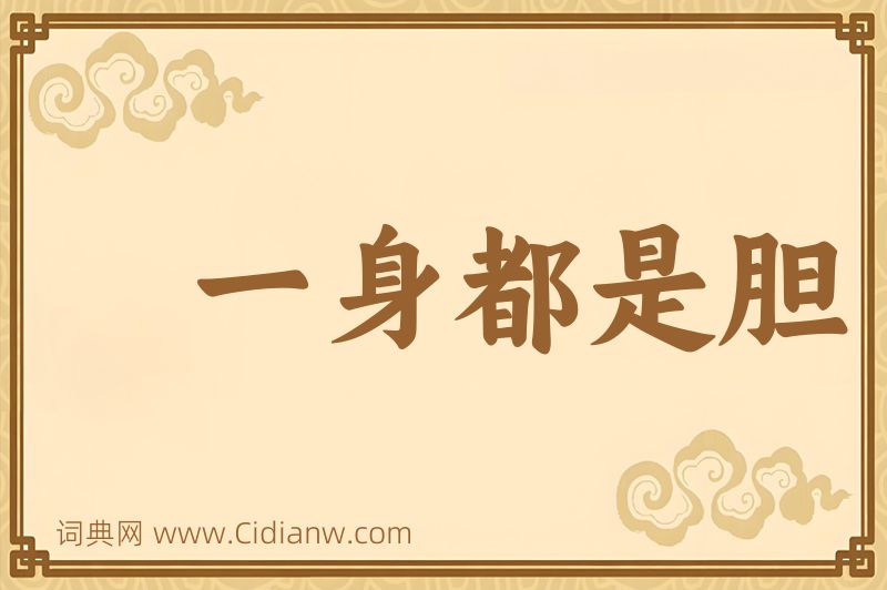 成语一身都是胆图片