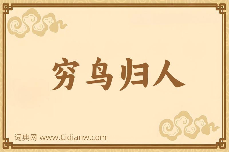 成语穷鸟归人图片