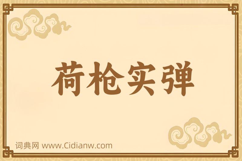 成语荷枪实弹图片