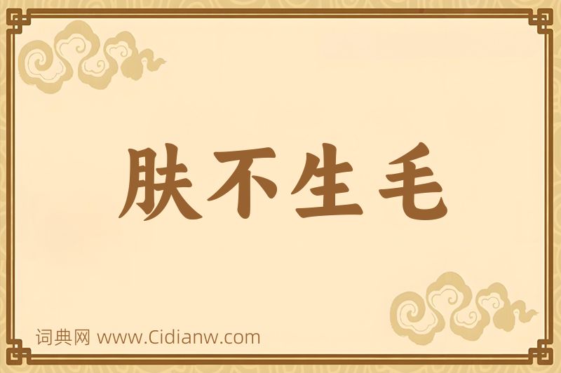 成语肤不生毛图片