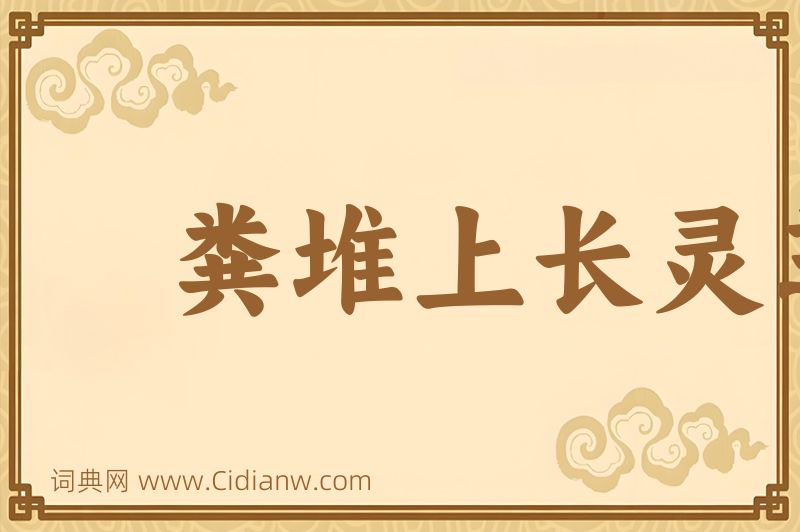 成语粪堆上长灵芝图片