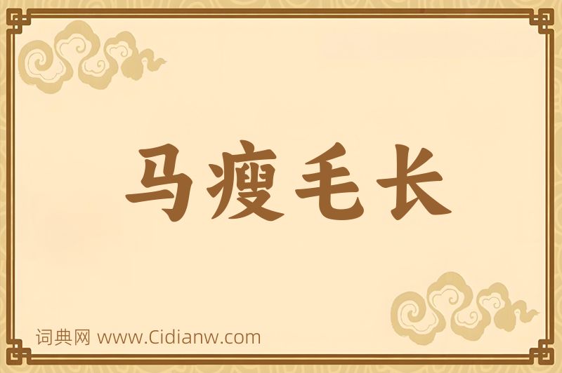 成语马瘦毛长图片