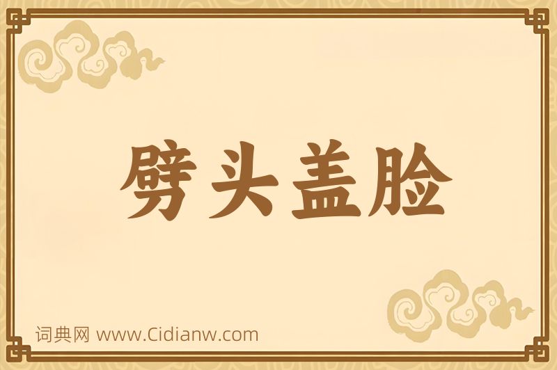 成语劈头盖脸图片