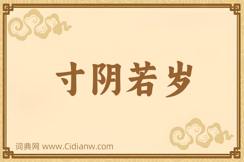 成语寸阴若岁图片