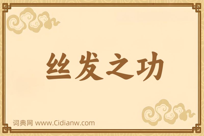 成语丝发之功图片