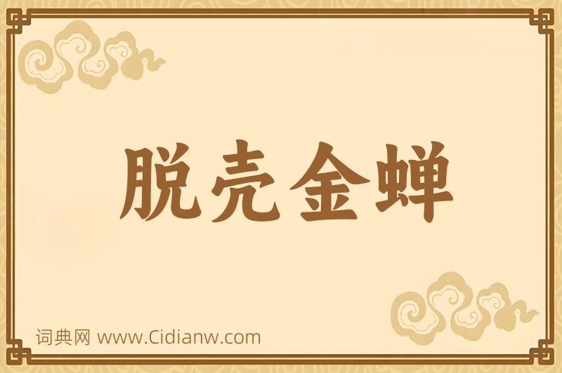 成语脱壳金蝉图片