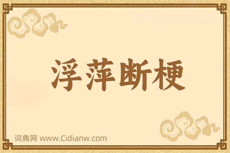 成语浮萍断梗图片