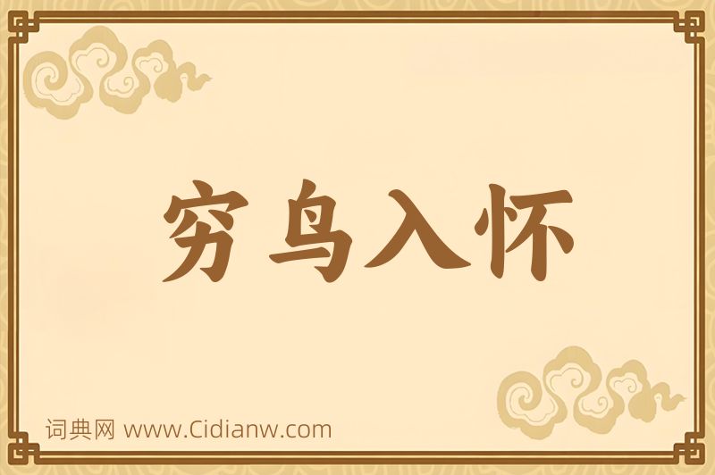 成语穷鸟入怀图片