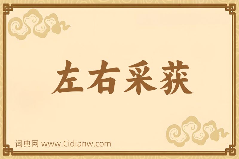 成语左右采获图片