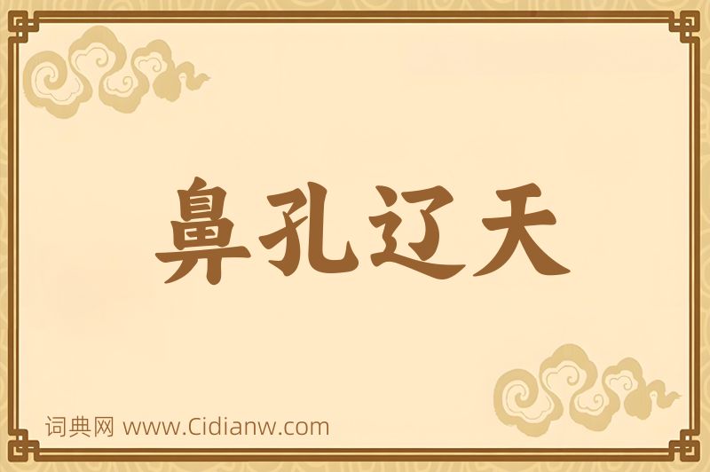 成语鼻孔辽天图片