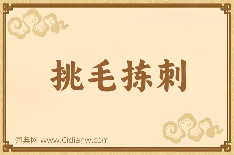 成语挑毛拣刺图片