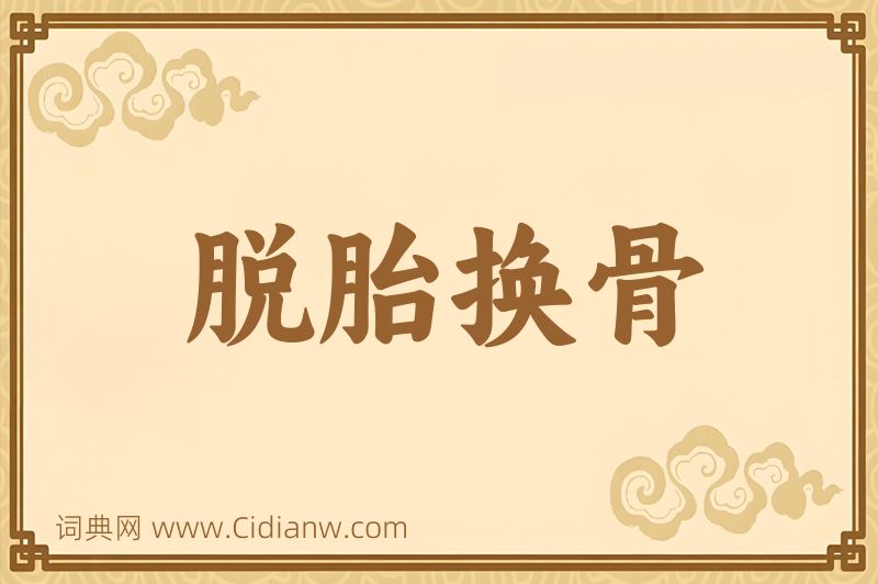 成语脱胎换骨图片