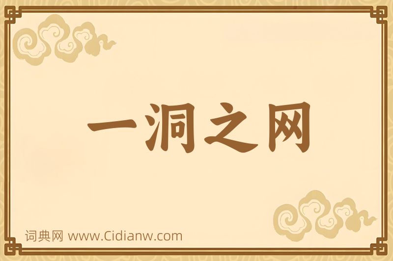 成语一洞之网图片