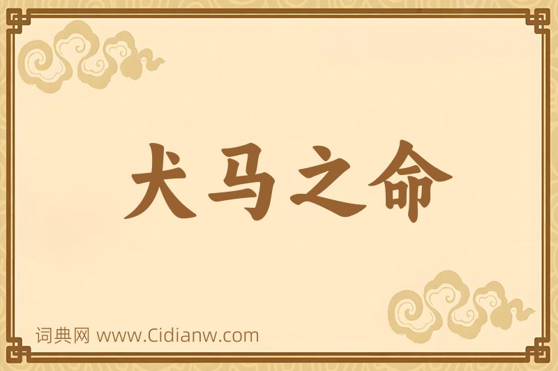 成语犬马之命图片