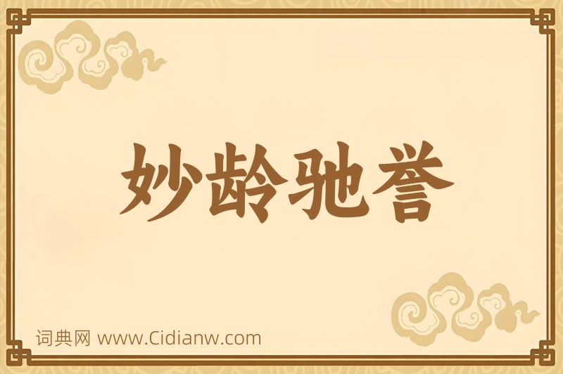 成语妙龄驰誉图片