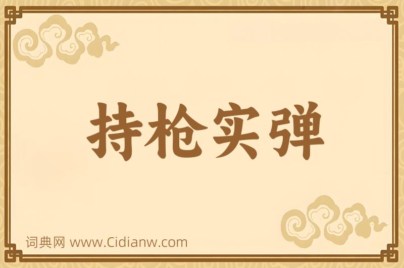 成语持枪实弹图片