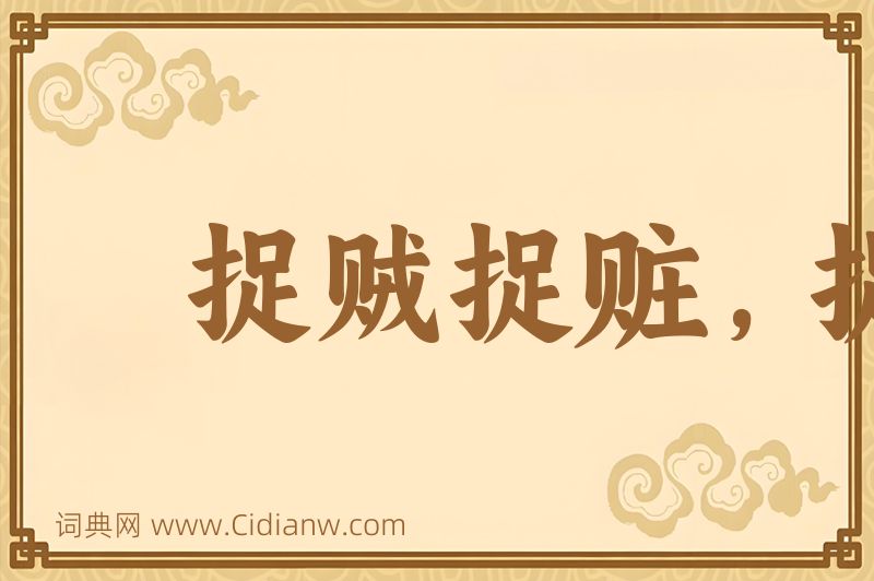 成语捉贼捉赃，捉奸捉双图片