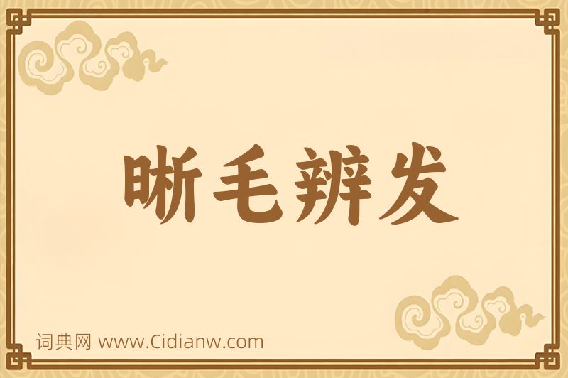 成语晰毛辨发图片