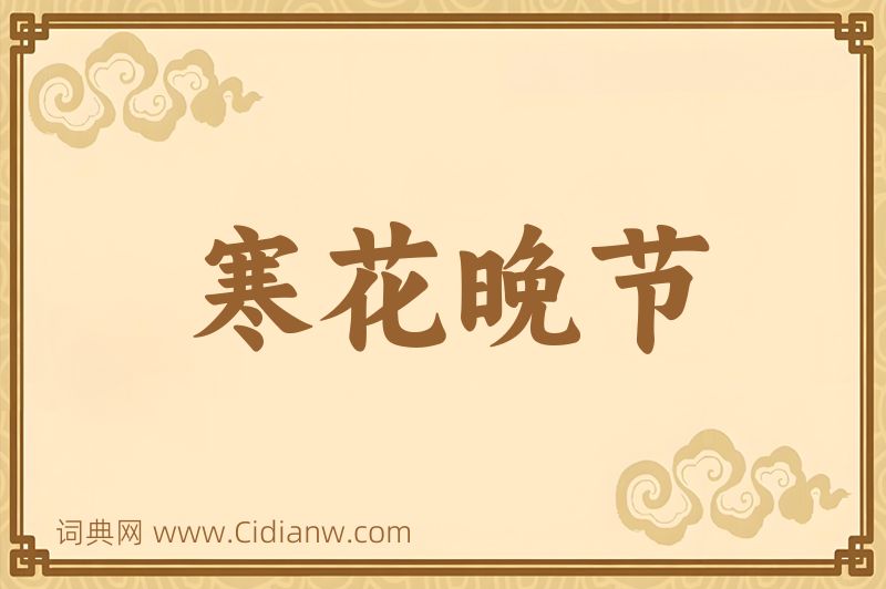 成语寒花晚节图片