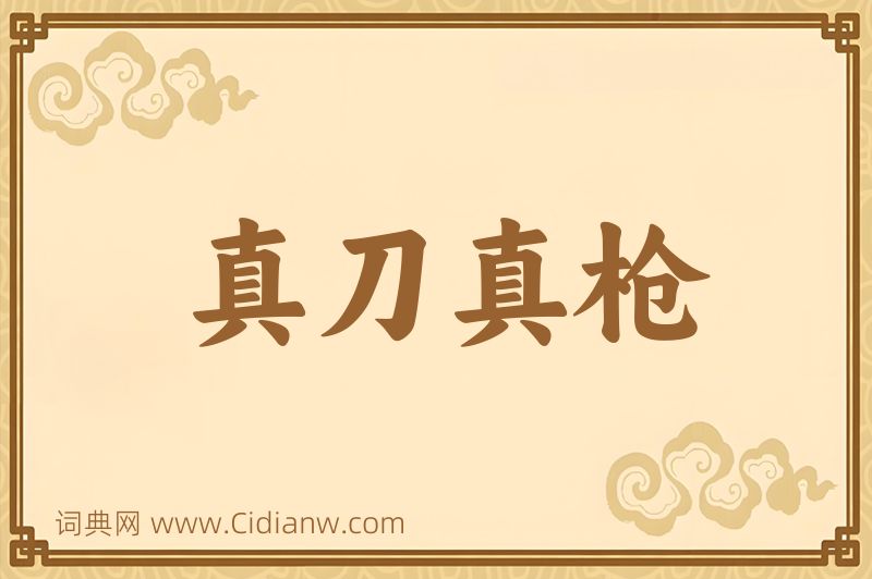 成语真刀真枪图片