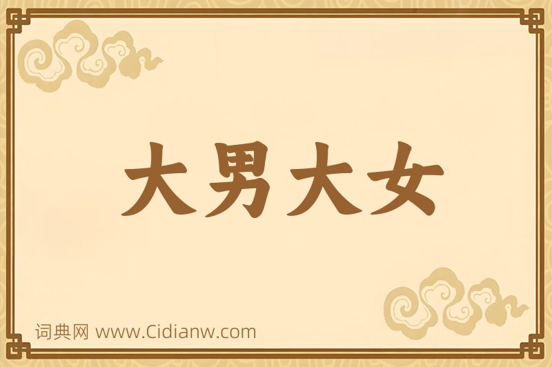 成语大男大女图片