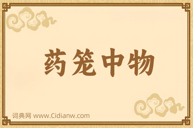 成语药笼中物图片