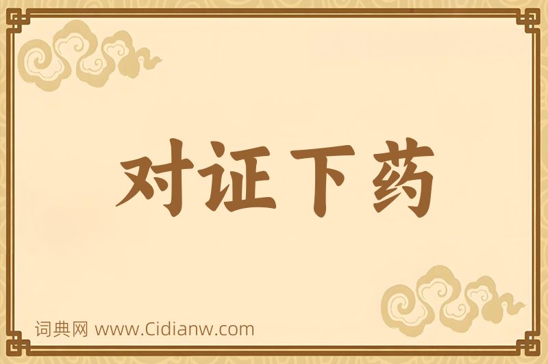 成语对证下药图片
