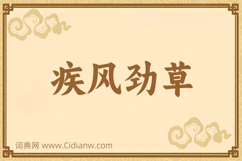 成语疾风劲草图片