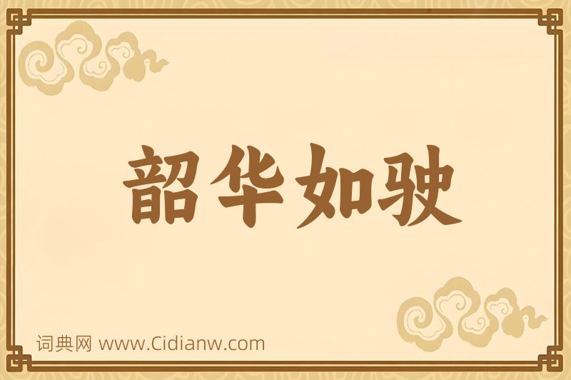 成语韶华如驶图片