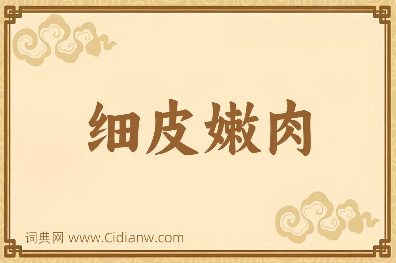 成语细皮嫩肉图片