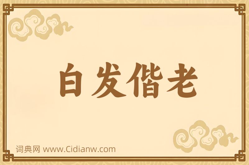 成语白发偕老图片