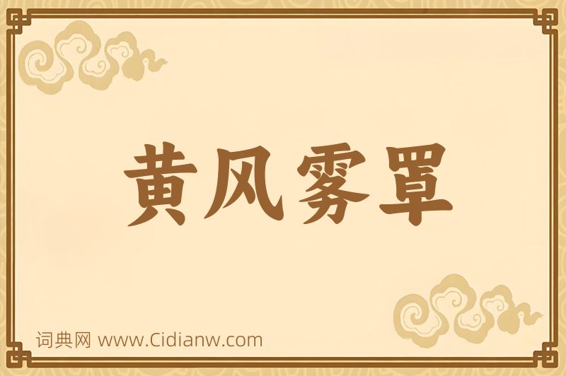 成语黄风雾罩图片