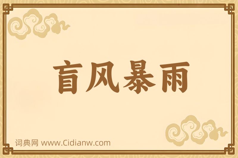 成语盲风暴雨图片