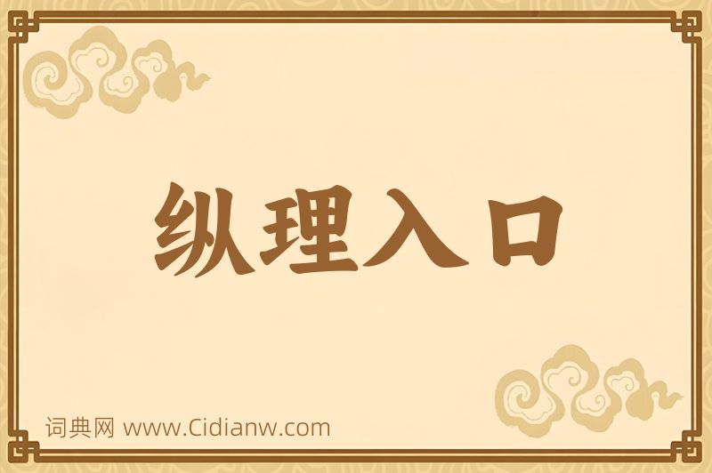 成语纵理入口图片