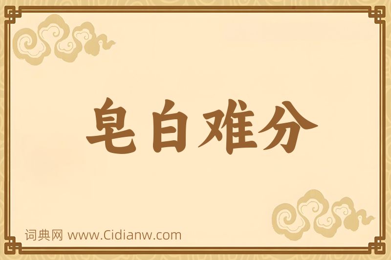 成语皂白难分图片