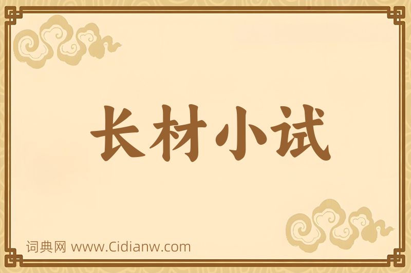 成语长材小试图片